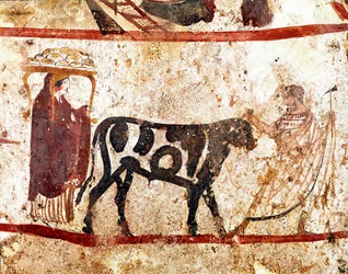 Egy bikát az áldozati oltárhoz vezetnek. Kr. e. 4. századi lucaniai freskó az olaszországi Paestum Andriuolo-nekropoliszából. Museo Nazionale Archeologico, Paestum