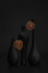 Elegáns fekete lampionvirág-csendélet