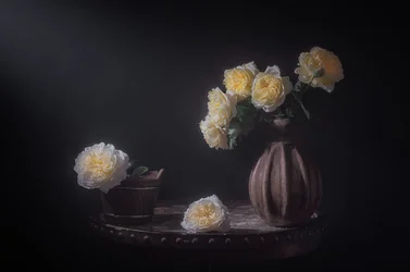 Elegáns sárga rózsák