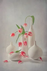 Halványrózsaszín tulipánok