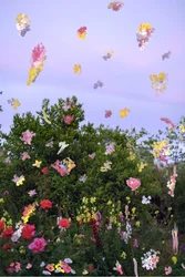Abstracted Flowers, 2019 (akrilfesték archív pigmentnyomaton)
