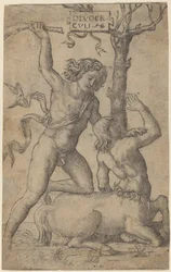 Herkules és Nessus
