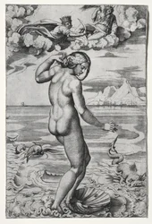 Vénusz születése c. 1516.
