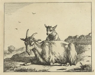 Fekvő kecske báránnyal Goats and Bucks (sorozat címe)