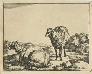 Álló és fekvő juhok farm a háttérben Juh (sorozat címe)