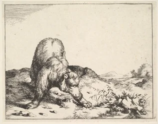 a The Set of the Bears-ből, kb. 1664.