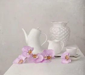 Fehér orchidea csendélet