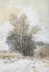 Természetjáró a hóban egy erdő szélén