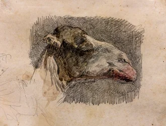 Tevérfej, 1865 körül (grafitceruza, akvarell kiemelésekkel, papír)