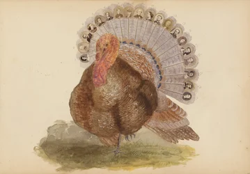 A Madame B album