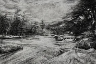 Moody River faszén