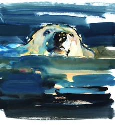 Arctic Swim, 2016, (akvarell, papír)