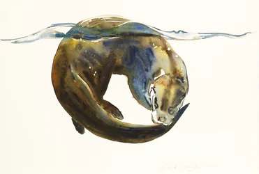 Életkör, 2014, (akvarell, papír)