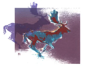 Fallow Bucks (kék piros, lila), 2015, (szitanyomás)
