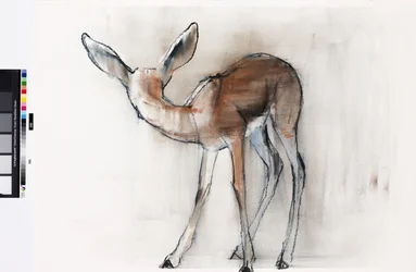 Gazelle Fawn (Arab Gazelle) 2010 (olaj, papír)