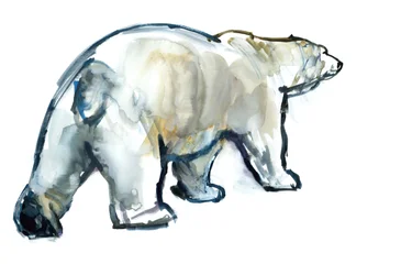 Glacier Mint (jegesmedve), 2013, (akvarell és gouache papíron)