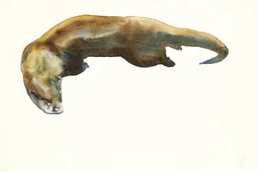 Arany, akvarell papíron (2014)