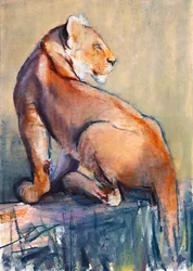 Rönkülés, 2019