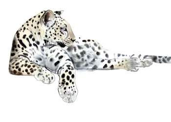 Hosszú (arab leopárd), 2015, (akvarell és gouache papíron)