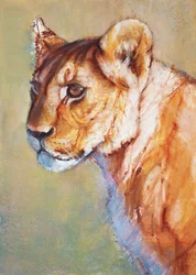Kilátó, 2019