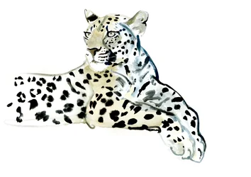 Poise, 2015, (akvarell, papír)