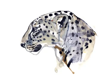 Profil (arab leopárd), 2008