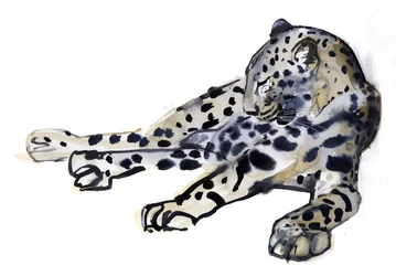 Fekvő (arab leopárd), 2008