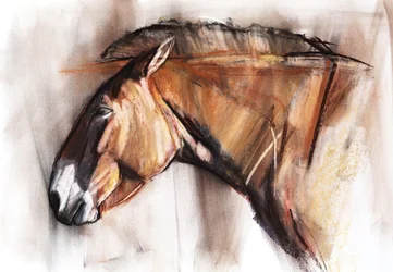 Pihenő ló, 2013, (pasztell és szén, papíron)