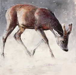 Roe Buck, tél, 2000 (vegyes média papíron)