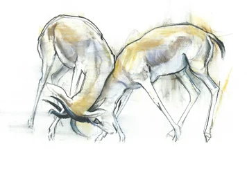 Homokgazellák, 2009 (conte és faszén papíron)