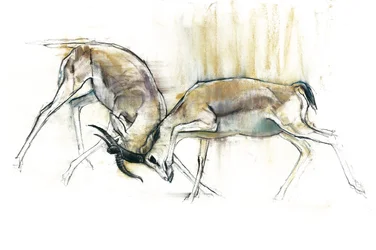 Homokgazellák, 2009 (conte és szén, papír)