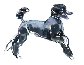 Sheer Class, 2013, (akvarell és gouache papíron)