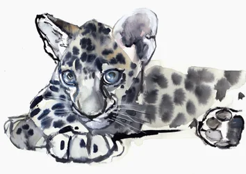 Spotty (arab leopárd kölyök), 2008