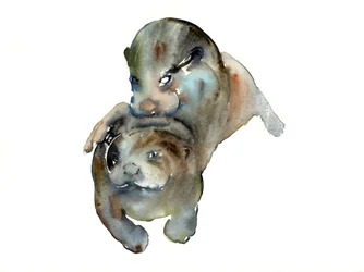 Ismeretlen cím