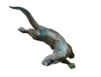 Ismeretlen cím