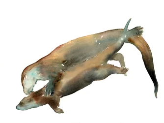 Ismeretlen cím