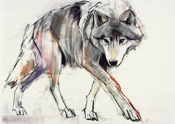 Wolf (vegyes technika papíron)