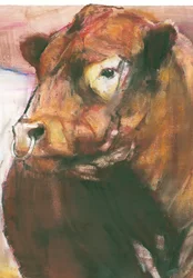 Zeus, Red Belted Galloway Bull, 2006 vegyes technika papíron, 275255 részlet