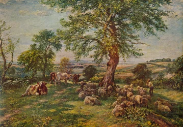 Hill és Dale, 1900, 1935