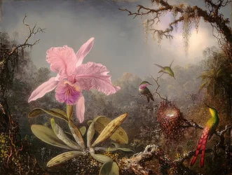Cattleya orchidea és három kolibri. 1871