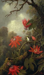 Kolibri és golgotavirágok, kb. 1875-85