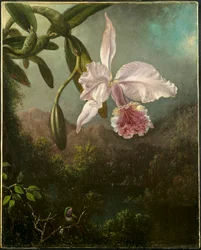 Orchideavirágok, 1873.