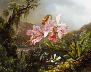 Orchideák és kolibrik egy brazil dzsungelben, kb. 1871-72