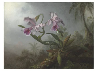 Rózsaszín orchideák és kolibri gallyon, 1875