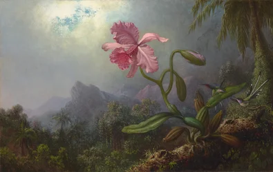 Két kolibri orchideával 1875 (Olaj, vászon)