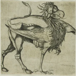 A Griffin