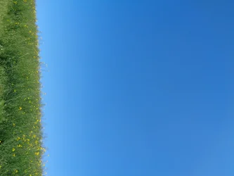 Kék