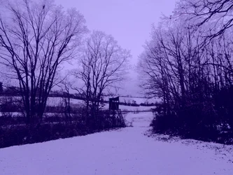 névtelen