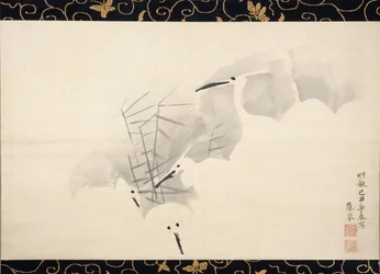 Fehér gémek, 1769.