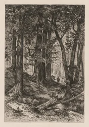 Egy kaliforniai erdő belseje Thomas Moran amerikai után, 1837-1926, 1888.